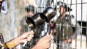 أسيران شقيقان يواصلان اضرابهما عن الطعام احتجاجاً على اعتقالهما