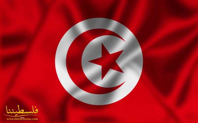 تونس: المهرجان الدولي لسينما الهواة يحتفي بفلسطين المشاركة في ...