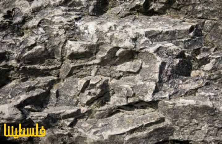 العلماء يكشفون النقاب عن صخور غامضة يزعمون أنها أقدم دليل على ...