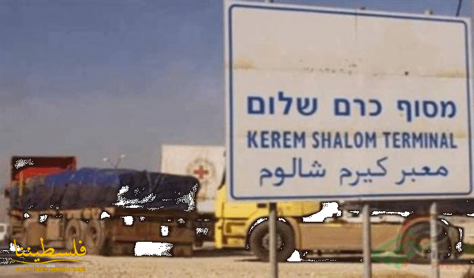 توابل لأوروبا و320 شاحنة بضائع لغزة