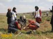 متطوعون يتحدون الاحتلال بزراعة الأشجار جنوب نابلس