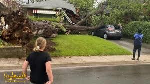 عواصف في كندا تسفر عن مصرع 4 أشخاص وانقطاع الكهرباء عن 900 ألف...