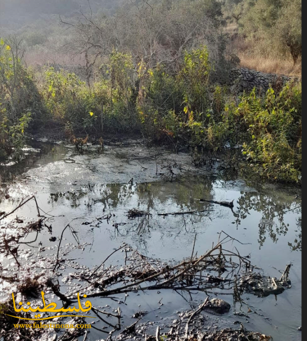 المياه العادمة للمستوطنات تنذر بكارثة بيئية في دير بلوط