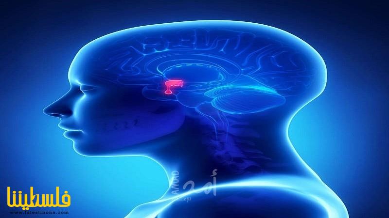 كيف تعرف إذا كنت تعاني من ارتجاج في المخ؟