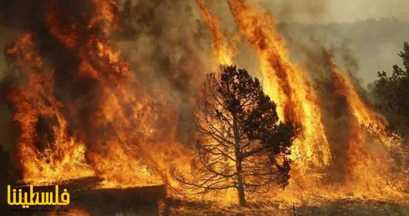 إجلاء 13 ألف شخص غرب كندا بسبب حرائق الغابات