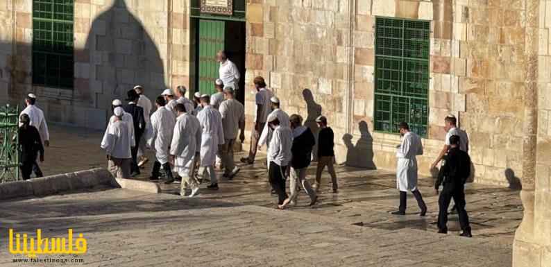 عشرات المستوطنين يقتحمون المسجد الاقصى احتفالا بما يسمى "عيد ا...