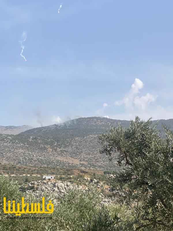 طيران الاحتلال يشن عدة غارات على الجنوب اللبناني