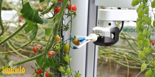 الزراعة الذكية.. كيف تعوض الروبوتات نقص العمالة الحاد...