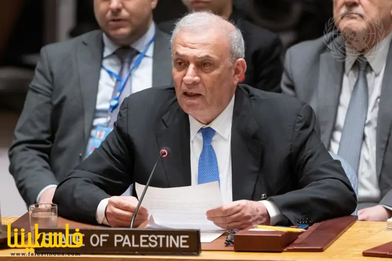 زياد أبو عمرو أمام مجلس الأمن: منح فلسطين العضوية الكاملة في ا...