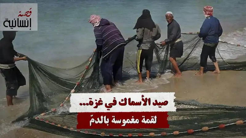 صيد الأسماك في غزة... لقمة مغموسة بالدمّ