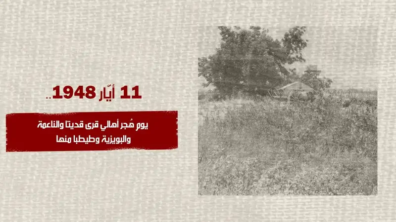 11/أيار/1948... يوم هُجر أهالي قرى قديتا وال...