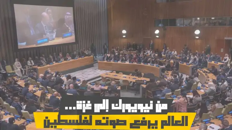 من نيويورك إلى غزة... العالم يرفع صوته لفلسطين