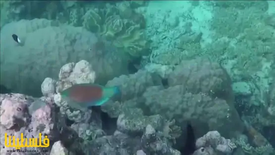 اكتشاف طاقة هائلة من أعماق البحار تفوق التوقعات بـ100 مرة