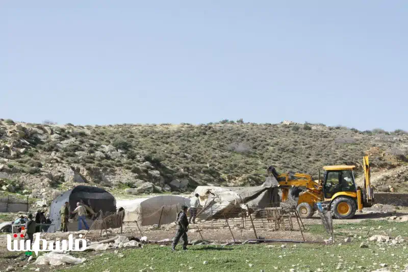 مستعمرون يقيمون بؤرة استعمارية في الأغوار الشمالية